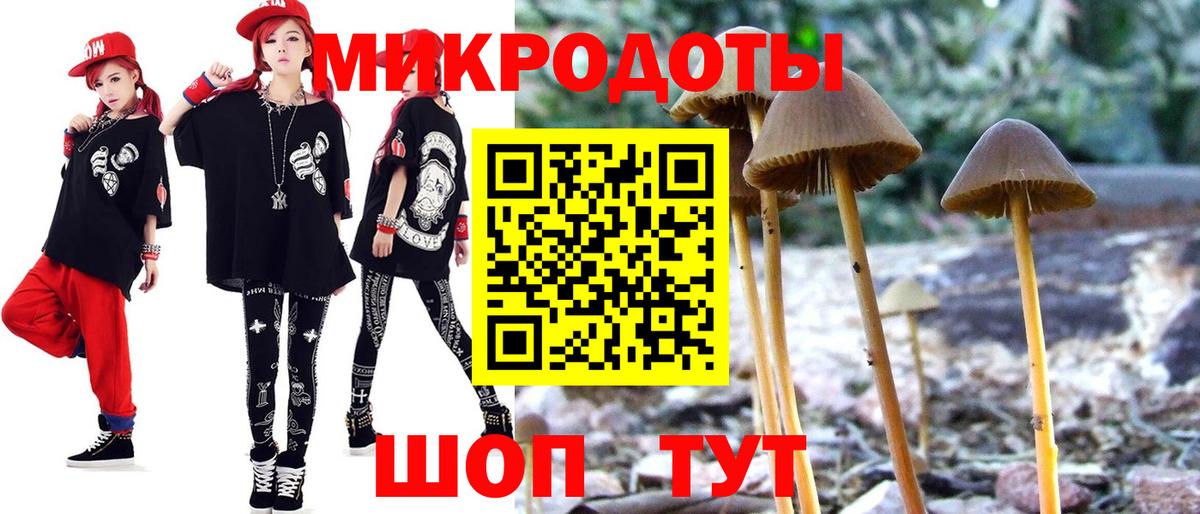 Кунгур  Галлюциногенные грибы GOLDEN TEACHER  купить закладку  Вход с VPN 