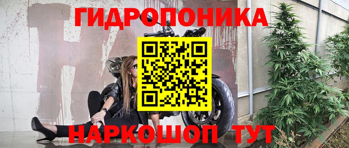 Бошки Шишки MAZAR  МАРИХУАНА гибрид  Кунгур  Вход с VPN 
